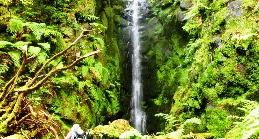 Best waterfall in Madeira- Rabo de burro